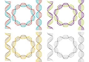 Double Helix Vectors 