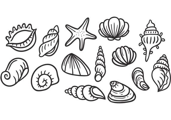 Pearl Shell Vectors