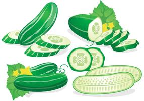 Fresco Pepino Vector