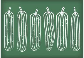 Chalk Drawn Cucumber Vectors