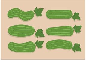 Cucumber Vectors 