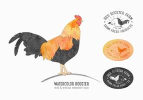 Free Vector Rooster Set
