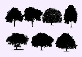 Oak Tree Silhouette Vectors