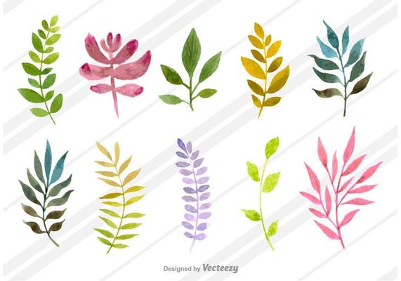 Natural Watercolored Dills