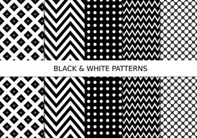 Black and White Pattern Set vector