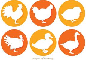 Iconos Vector Aves