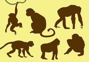 Vector Collection of Monkey Silhouettes