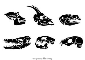 Animal Head Skull Vectors