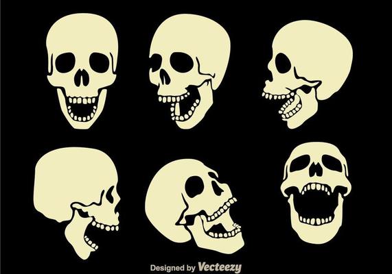 Skull Vectors