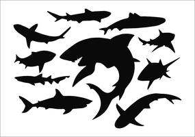 Download Shark Jaws Vector Art Icons And Graphics For Free Download