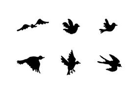 Serie de vector libre de la silueta del pájaro que vuela