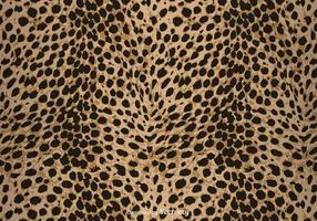 Vector Leopard Print Background