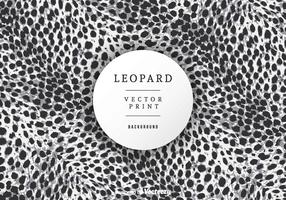 Vector libre del fondo de la impresión del leopardo