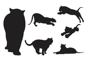 Vector Silhouette of Tigers