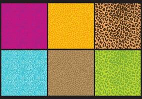 Leopard Print Vectors 