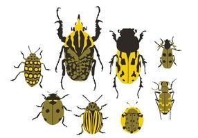 Beetles vector