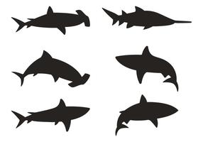 Tiburón Silueta Vectores