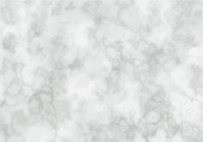 Marble Background Vector