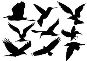 Flying Bird Silhouette Vectors