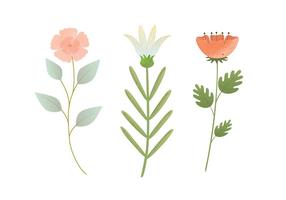 Vector Flower Illustration