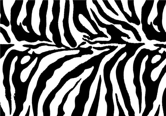 Free Zebra Print Background Vector