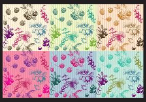 Vintage Berries Patterns vector