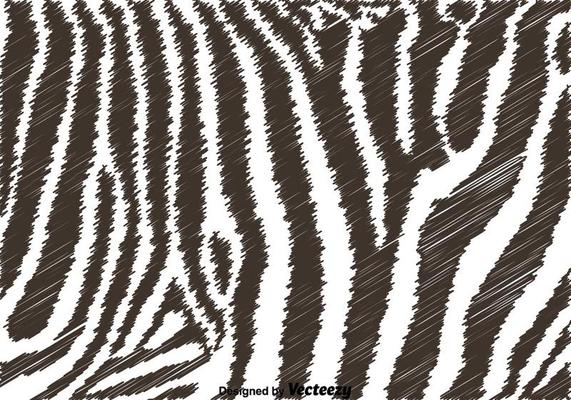Black And White Zebra Background