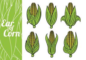 Ear of Corn Vectors