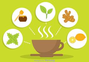 Herbal Tea Vector