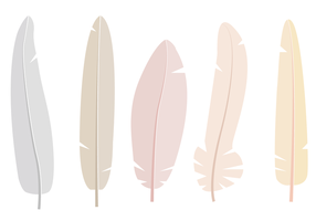 Free Feathers Vector