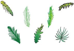 Free Palm Leaf Isolated Vector Series