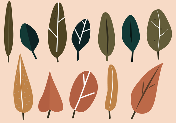 Page 2 | Leaf Vector Art, Icons, and Graphics for Free Download