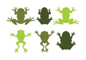 Green Tree Frog Vectors