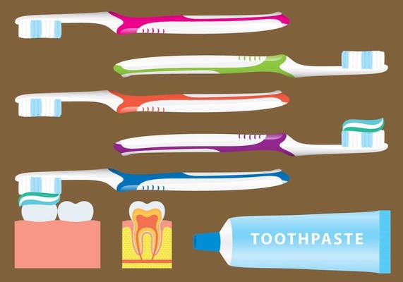 Toothbrushing Vectors