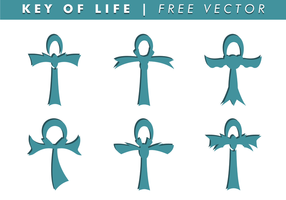 Key of Life Free Vector