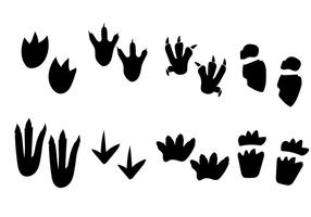 Huella Dinosaurio Vectores, Iconos, Gráficos y Fondos para Descargar Gratis Huella Dinosaurio Vectores, Iconos, Gráficos y Fondos para Descargar Gratis