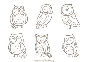 Hand Drawn Owl Vector