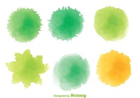 Colorful Plant Top View  vector