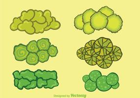 Group Trees Top View vector