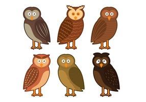 Barn Owl Personaje Vector