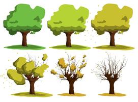 Growing Acacia Tree Vectors