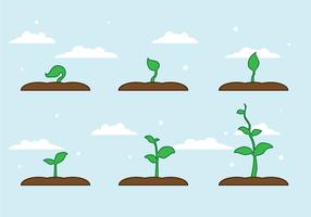 FREE PLANT GROWTH VECTOR