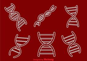 Double Helix Outline Icons vector