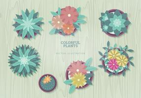 Plants Vector Illustrations