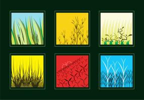 Various Grass and Bushes Vectors 