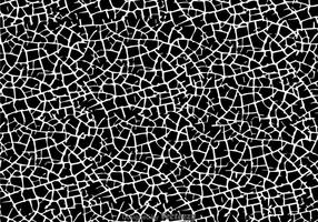 Black Cracked Paint vector