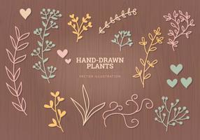 Vector Hand-drawn Elements