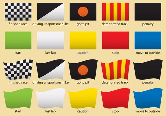 f1 black and white flag