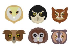 Vector Set of Owls