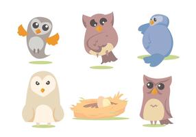 Barn Owl Vector Set